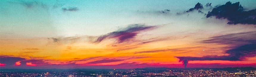 安吉茶虫网_安吉品茶